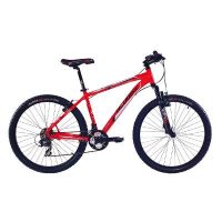 ADULT ON-ROAD BIKE