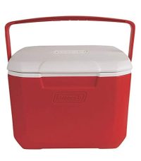 Portable cooler