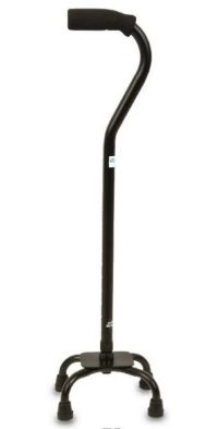 Adult Cane