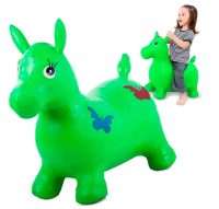 Inflatable Ride on toy